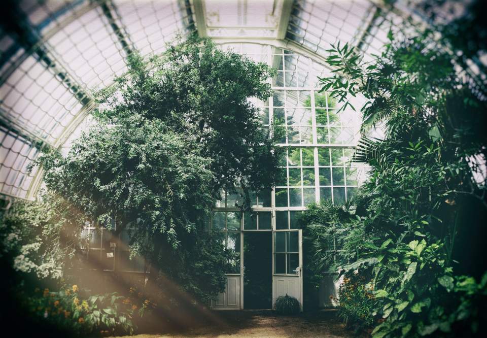 Jardin dans Paris